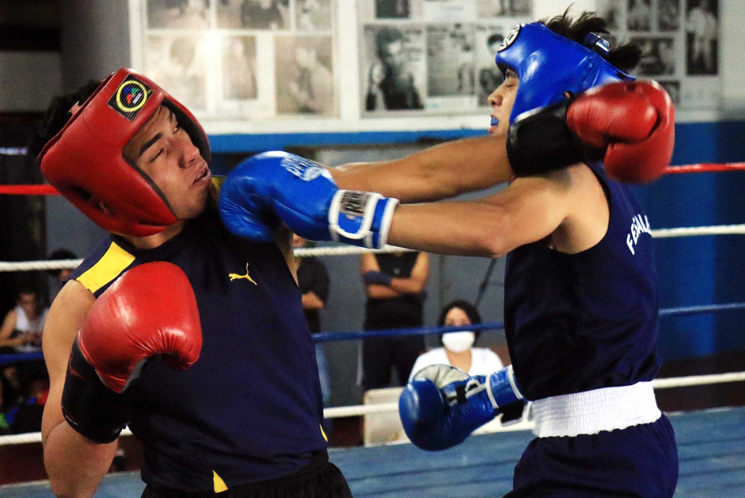 Guantes Boxeo Boxing Club Elite Reforzado Sparring - Olivos