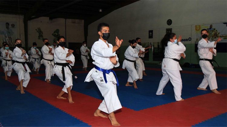Karate desarrolló seminario de katas