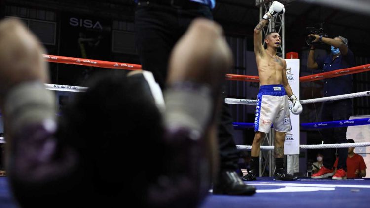 Buenas victorias nacionales en El Despertar del Boxeo Salvadoreño